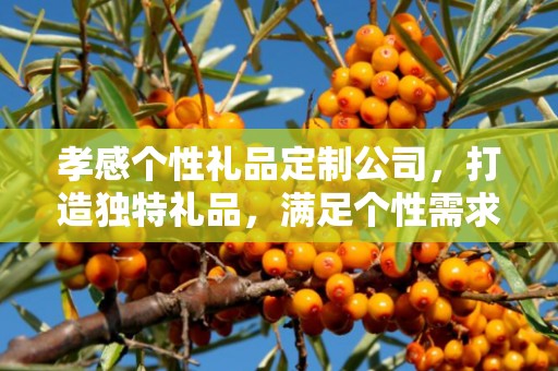 孝感个性礼品定制公司，打造独特礼品，满足个性需求