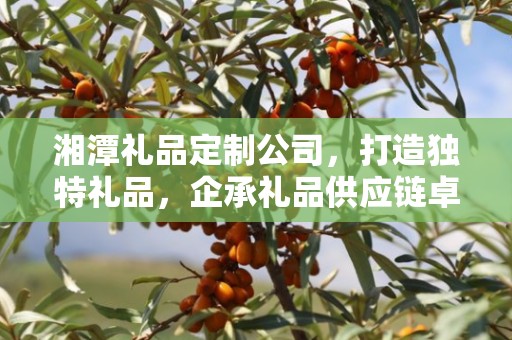 湘潭礼品定制公司，打造独特礼品，企承礼品供应链卓越服务