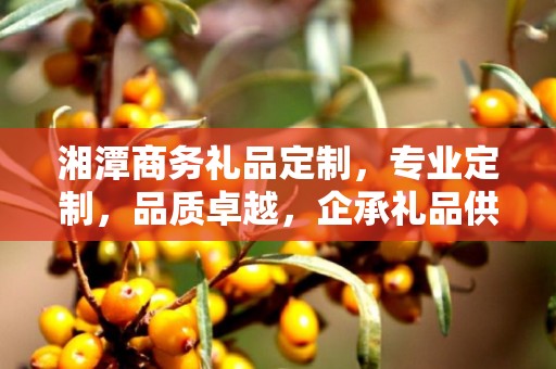 湘潭商务礼品定制，专业定制，品质卓越，企承礼品供应链助力商务往来