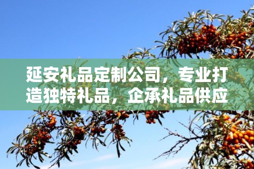 延安礼品定制公司，专业打造独特礼品，企承礼品供应链引领行业新风尚