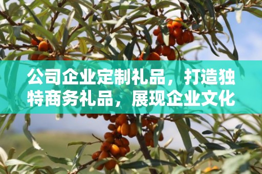 公司企业定制礼品，打造独特商务礼品，展现企业文化与关怀